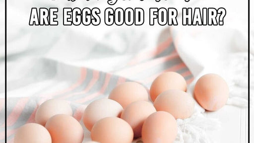 zala-mythbusters-eggs-good-for-hair